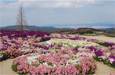 あわじ花さじき