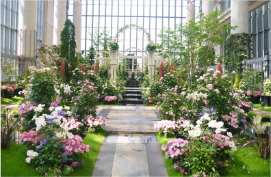 奇跡の星の植物館/淡路夢舞台