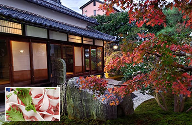 DRIVE SPOT 2 須磨海浜水族園