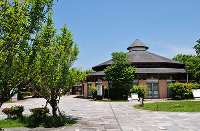 DRIVE SPOT 3 FISH IN THE FOREST